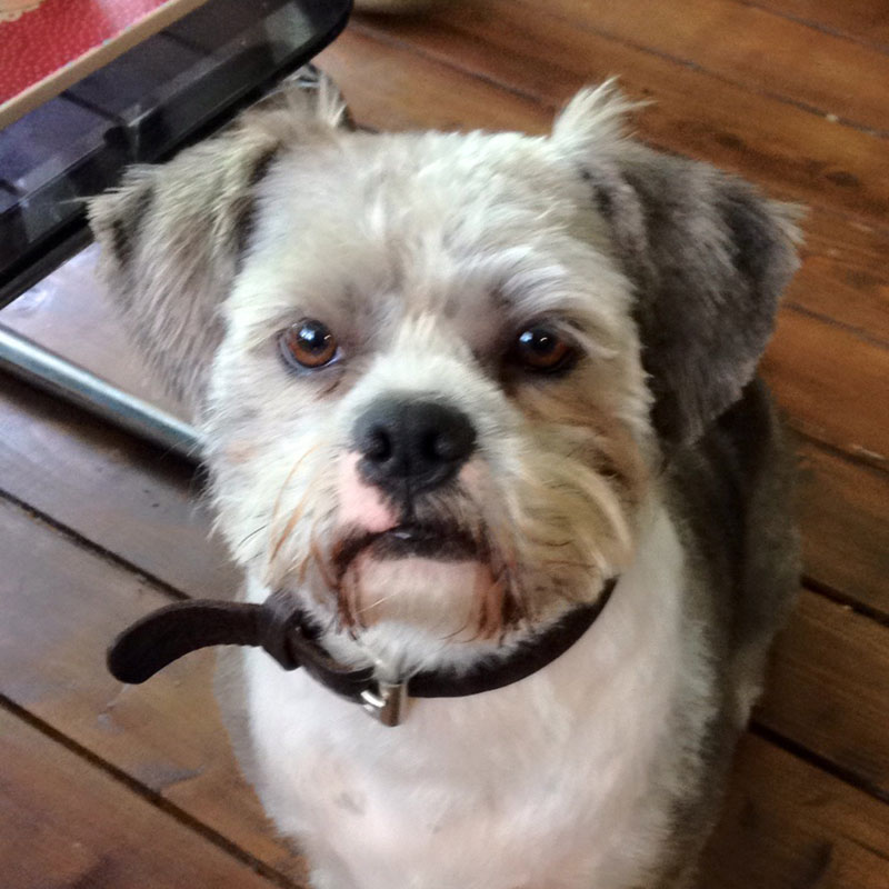 BENNY
